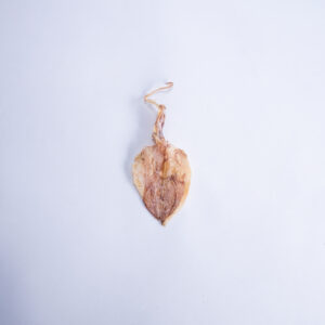 Dried Squid A6